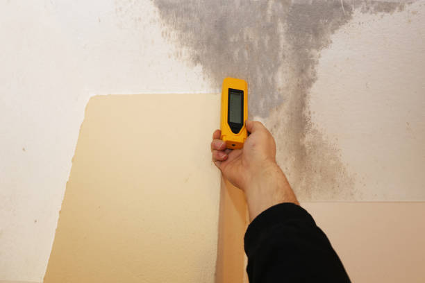 Best Comprehensive Air Testing for Mold Contaminants  in Austell, GA