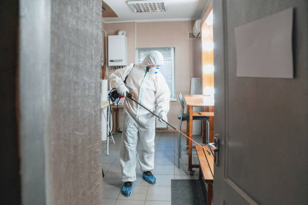 Best Mold Damage Restoration  in Austell, GA