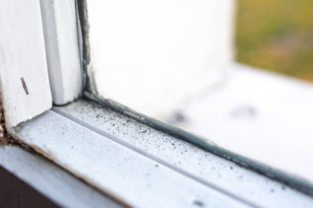 Best Commercial Mold Inspection  in Austell, GA