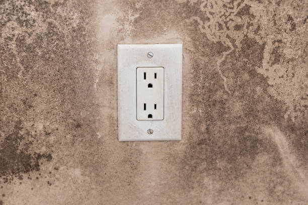 Best Black Mold Removal  in Austell, GA
