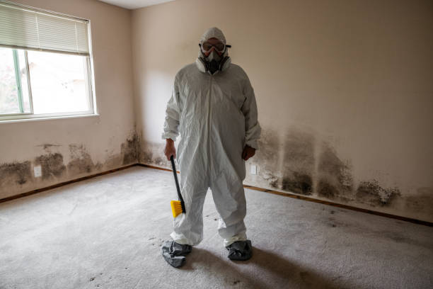 Best Biohazard Mold Removal  in Austell, GA